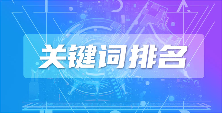 抖音seo搜索排名的介绍